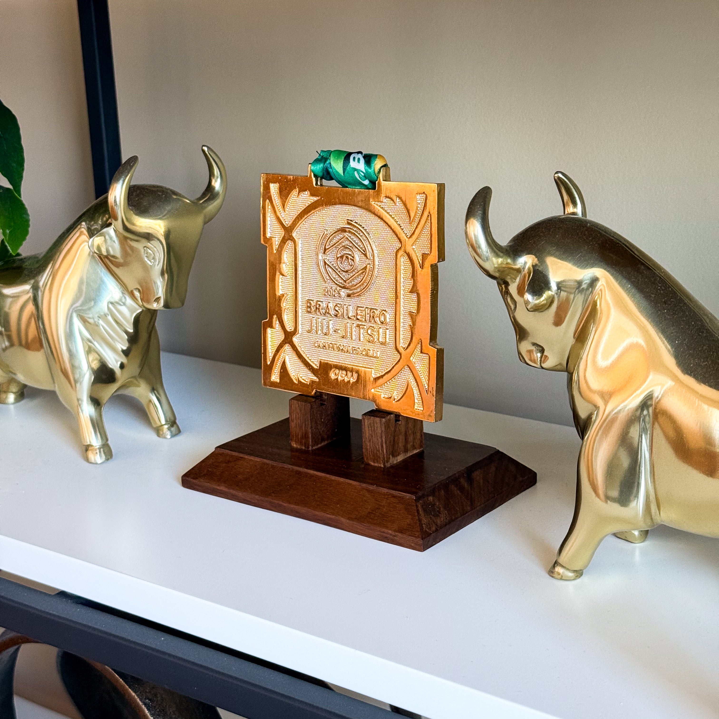 Fortis - Medal Display